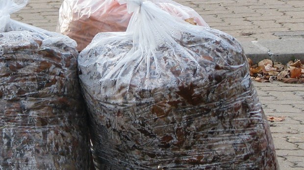Dernière collecte des résidus verts de l’automne à Chambly
